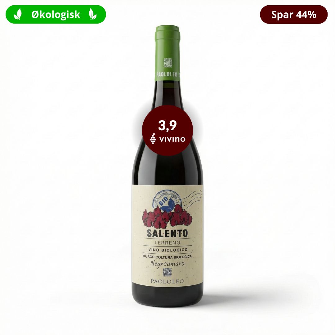 Terreno Negroamaro 2021, Paolo Leo — SPS Wine